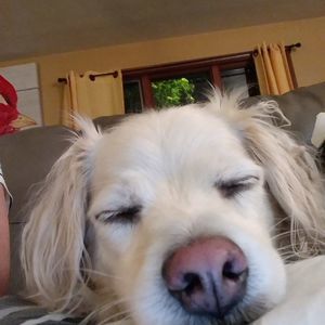 Meet your Posher, Laurie